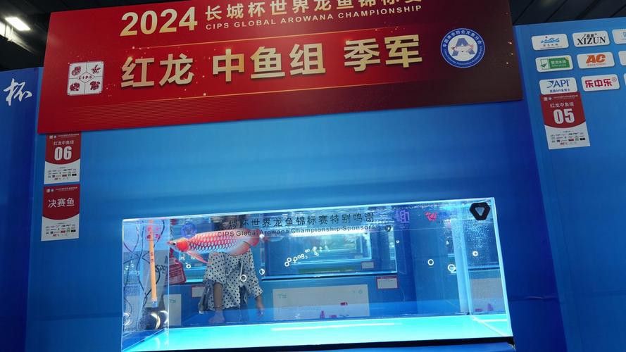 2022長城杯龍魚大賽祥龍魚場
