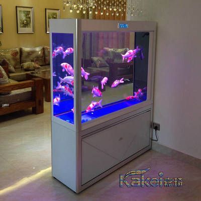 龍魚黑缸和白缸的區別是什么：龍魚在黑缸和白缸中的飼養區別 龍魚黑缸和白缸的區別是什么：龍魚在黑缸和白缸中的飼養區別 龍魚百科 第2張