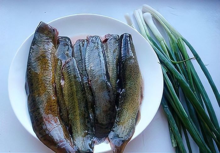 龍鰍和泥鰍哪個更好吃？ 龍鰍和泥鰍哪個更好吃？ 龍魚百科 第2張