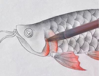 龍魚(yú)的畫(huà)怎樣畫(huà)簡(jiǎn)單：幾種簡(jiǎn)單的龍魚(yú)畫(huà)法教程 龍魚(yú)的畫(huà)怎樣畫(huà)簡(jiǎn)單：幾種簡(jiǎn)單的龍魚(yú)畫(huà)法教程 龍魚(yú)百科 第1張