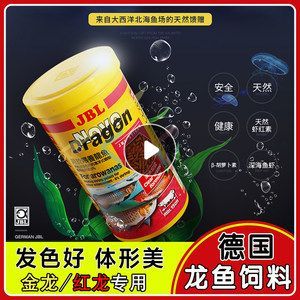 龍魚一直浮在水面怎么辦：龍魚一直浮在水面的原因和解決方法龍魚浮頭問題的解決方法 龍魚一直浮在水面怎么辦：龍魚一直浮在水面的原因和解決方法龍魚浮頭問題的解決方法 龍魚百科 第3張