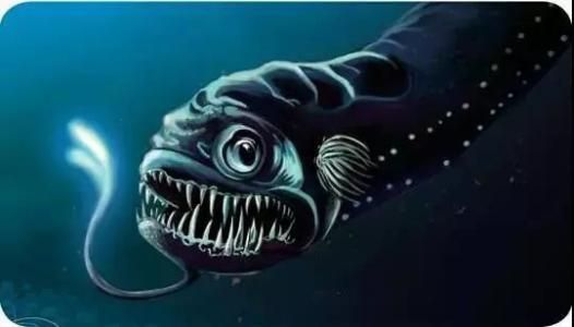 龍魚兒童畫（兒童畫龍魚的步驟）