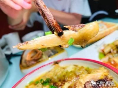 水龍魚是海鮮嗎能吃嗎：水龍魚屬于淡水魚，它們屬于淡水魚，