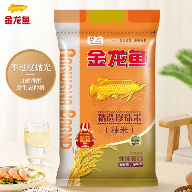 金龍魚吃多了怎么處理：金魚吃多了怎么辦