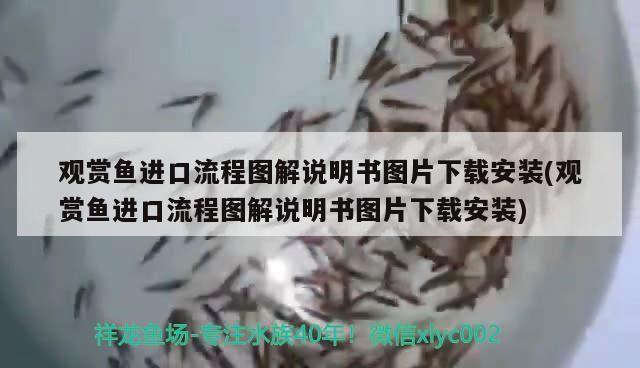 紅龍魚長的慢的原因（紅龍魚長的慢的原因是什么） 紅龍魚長的慢的原因（紅龍魚長的慢的原因是什么） 龍魚百科 第3張