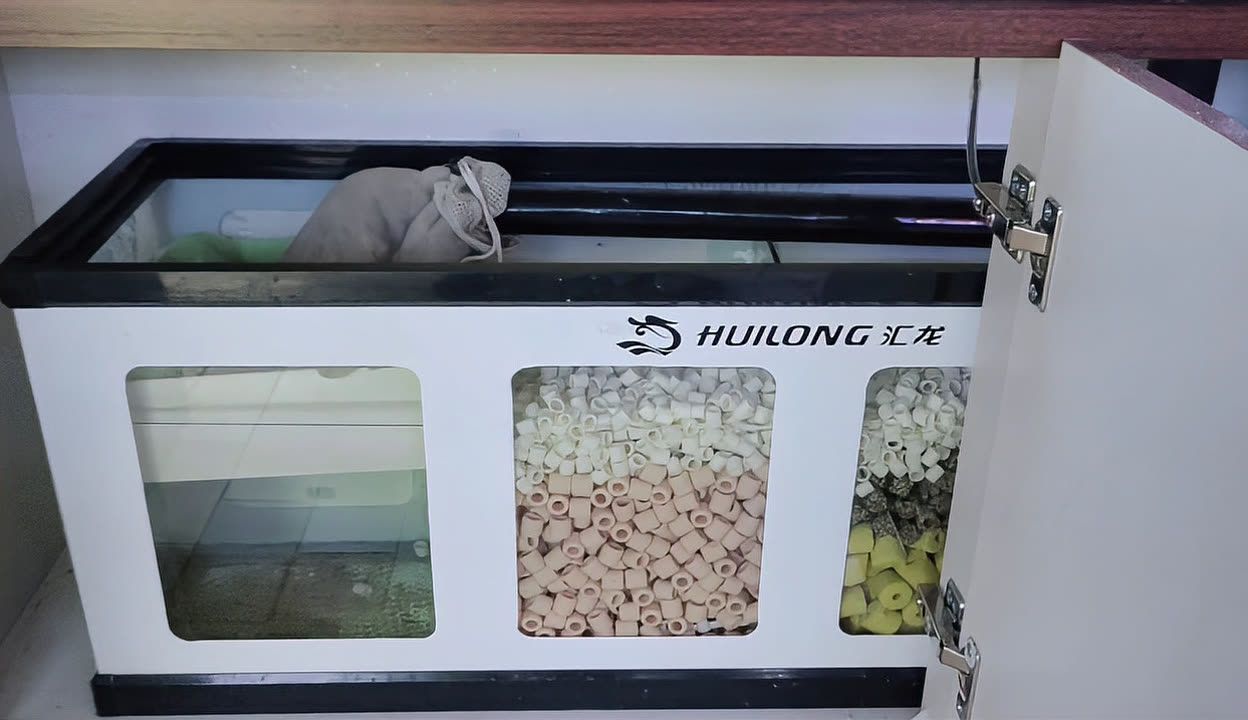 匯龍魚缸怎么樣，匯龍魚缸與其他材質對比，匯龍魚缸常見問題及解決方法
