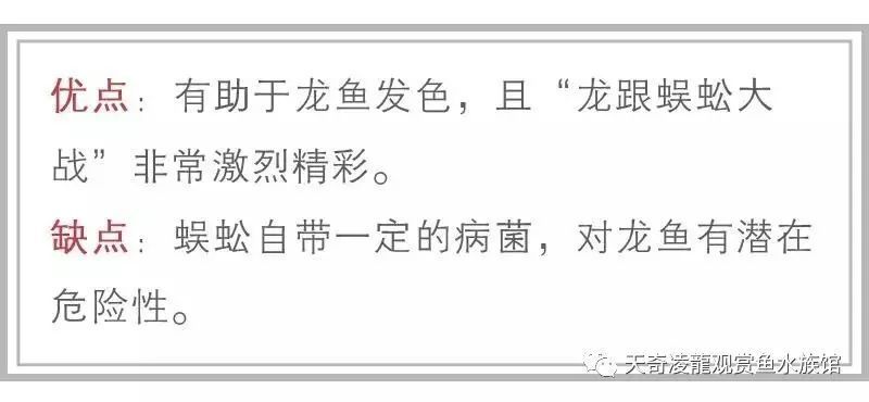 銀龍魚多大發色最好（銀龍魚發色的最佳尺寸）