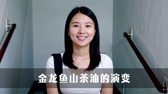 金龍魚山茶油食用植物調和油價格