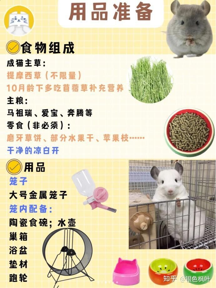 龍貓的平均壽命是多少