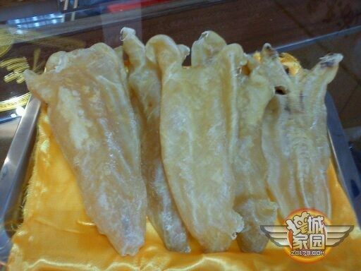 金龍魚膠的功效是什么：金龍魚膠含有豐富的膠原蛋白，運動員如何利用金龍魚膠恢復睡眠
