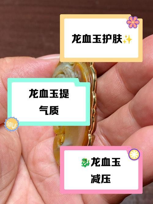 收藏赤血金龍有哪些注意事項？
