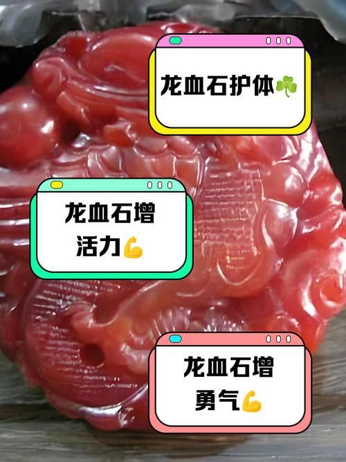 收藏赤血金龍有哪些注意事項？
