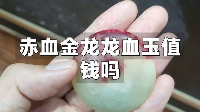 收藏赤血金龍有哪些注意事項？