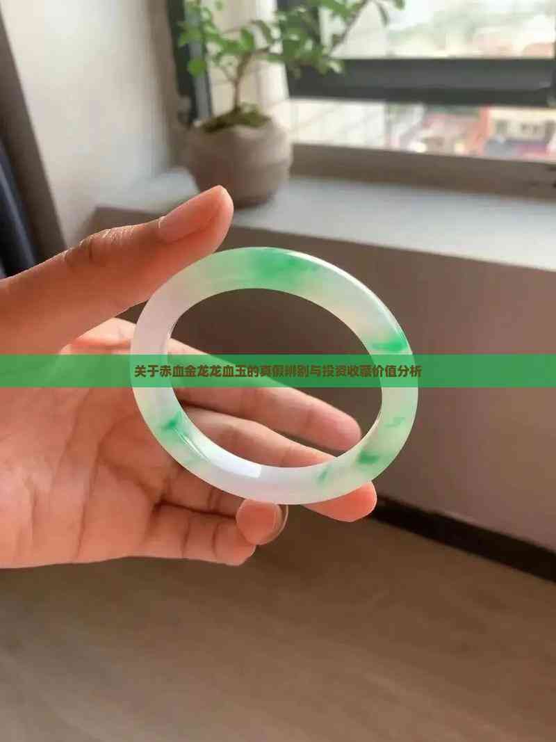 收藏赤血金龍有哪些注意事項？