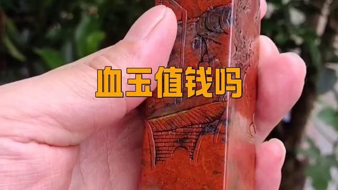 收藏赤血金龍有哪些注意事項？