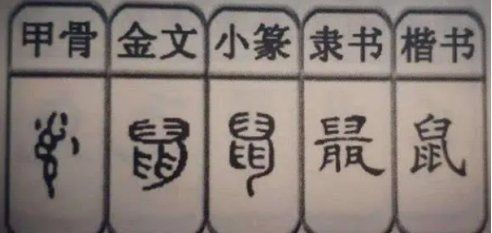 七鰭在古代文化中的象征意義