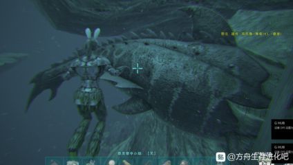 怎樣訓魚龍:刺激戰場訓魚龍的馴養過程包括以下幾個步驟 龍魚百科 第1張 怎樣訓魚龍:刺激戰場訓魚龍的馴養過程包括以下幾個步驟 怎樣訓魚龍:刺激戰場訓魚龍的馴養過程包括以下幾個步驟 龍魚百科 第1張