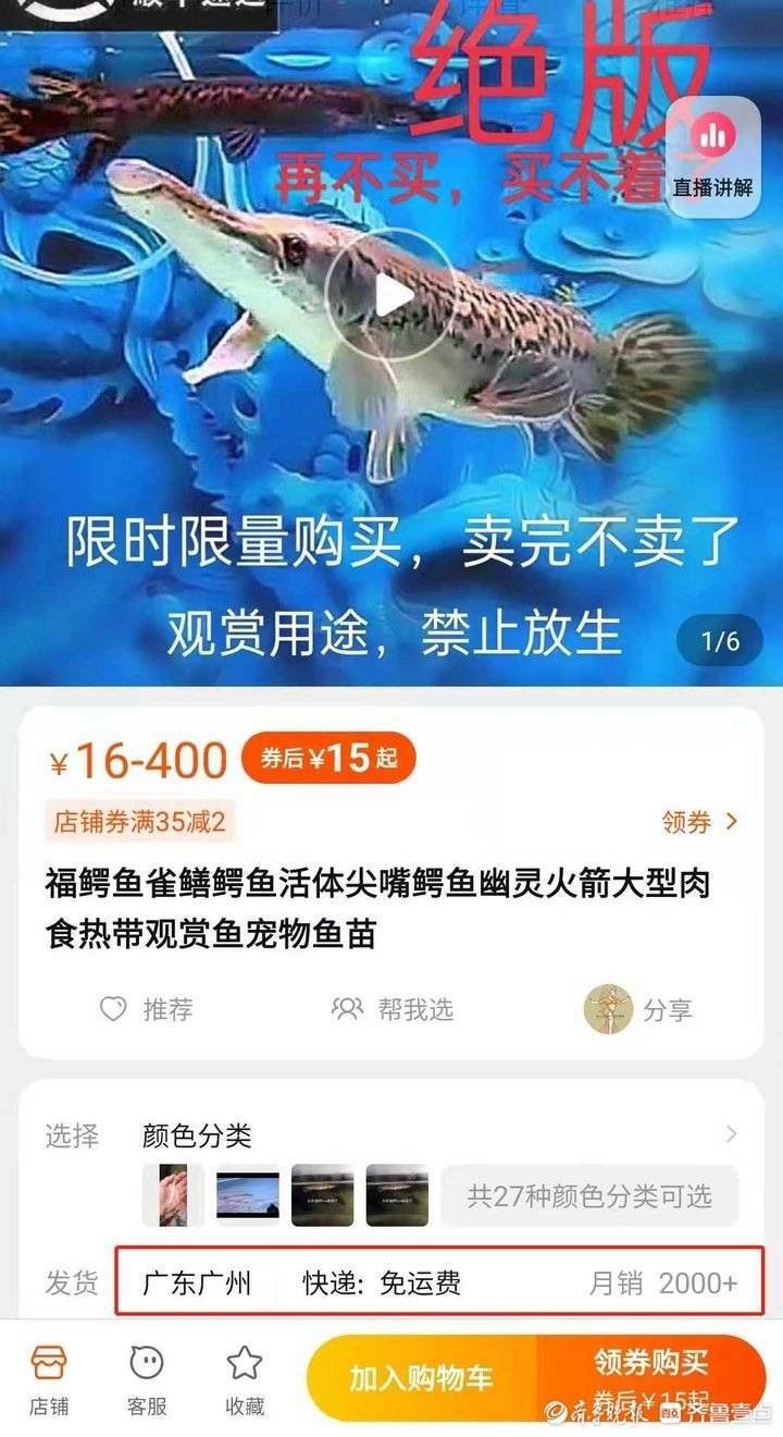 哪些平臺可以購買到鱷魚恐龍王魚？