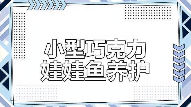 巧克力娃娃魚適合哪些混養環境？