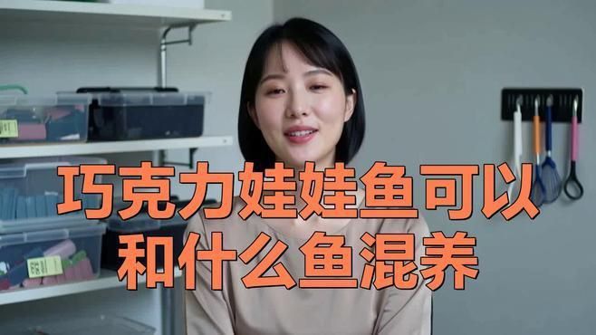 巧克力娃娃魚適合哪些混養環境？