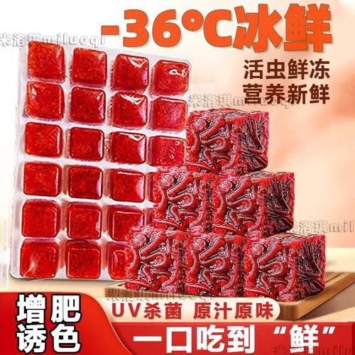 紅色雷龍魚圖片高清壁紙