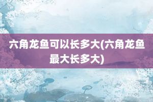 六角龍魚適合家養嗎，六角龍魚是否適合家養