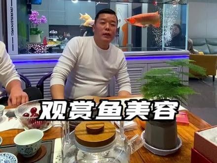 龍魚會(huì)掉眼嗎圖片