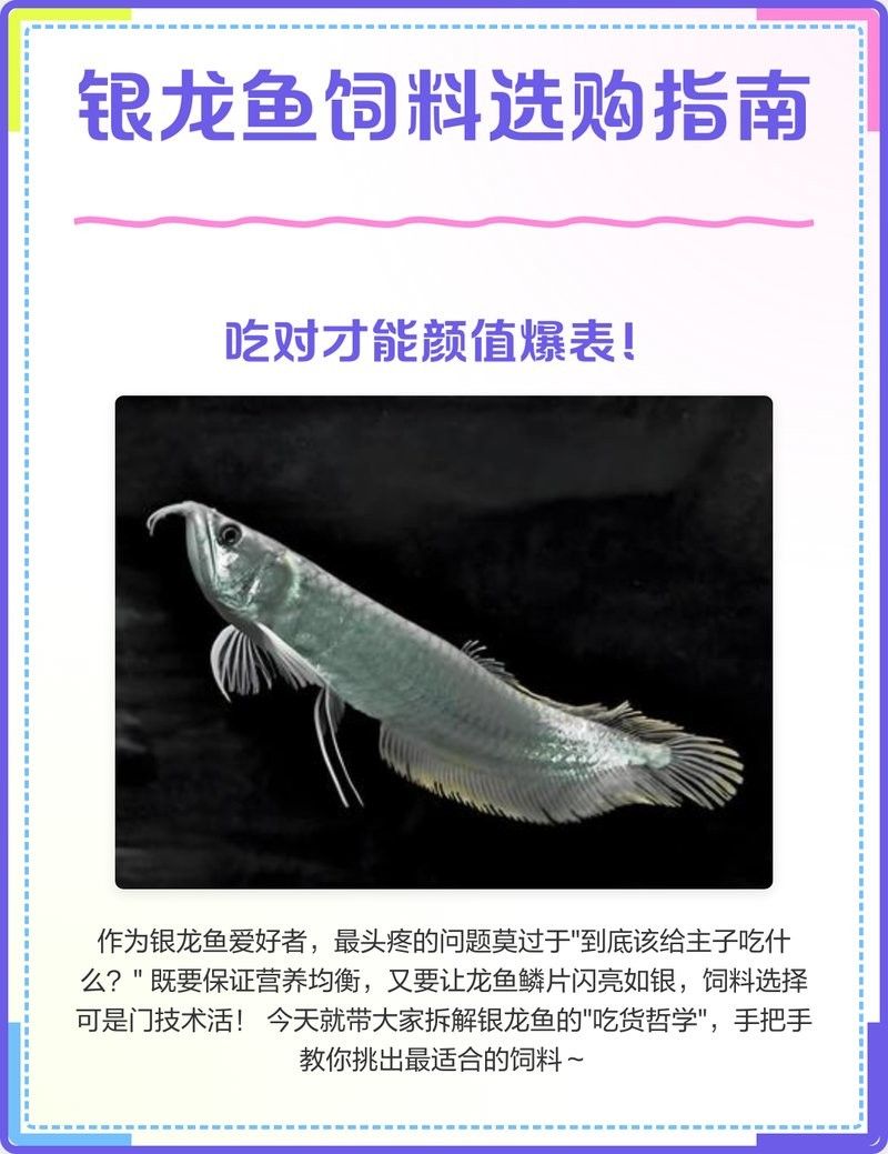 銀龍魚飼料哪個牌子好用