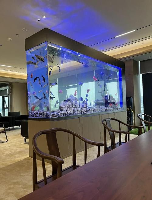 張家口龍魚缸養殖基地