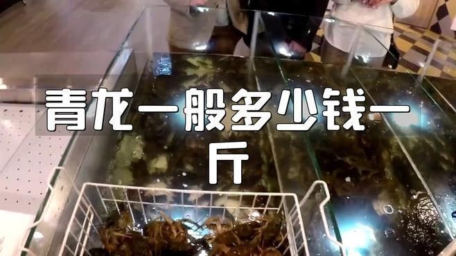 青龍魚價格多少錢一條圖片及價格