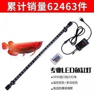 龍魚燈管應該放在哪個部位好：龍魚燈管顏色選擇技巧