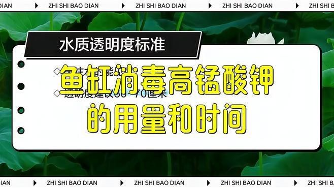 魚缸消毒劑使用注意事項 魚缸消毒劑使用注意事項 龍魚百科 第2張