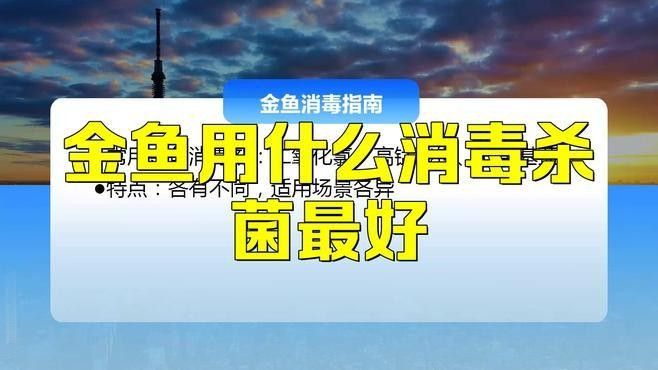 魚缸消毒劑使用注意事項 魚缸消毒劑使用注意事項 龍魚百科 第3張