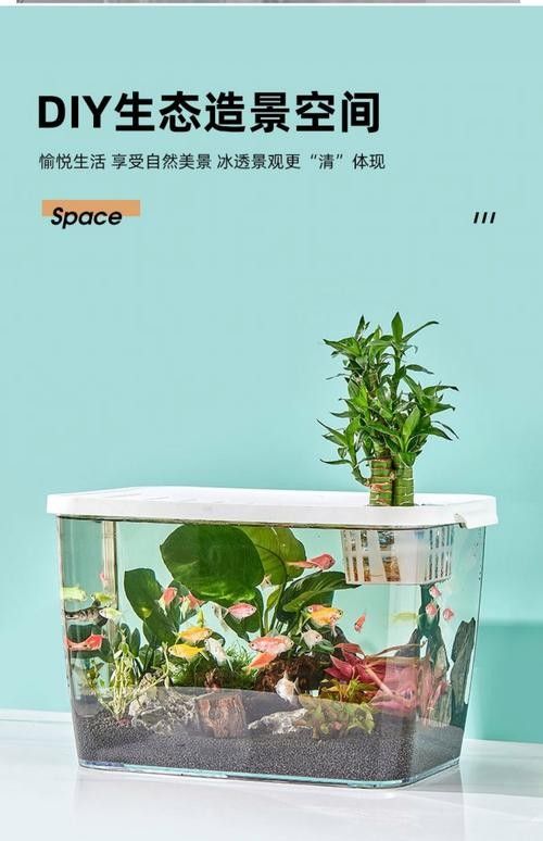 金龍魚魚缸背景圖高清