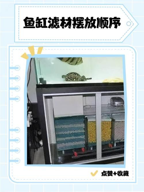 龍魚缸濾材放什么最好養活