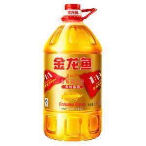 金龍魚最新價格是多少