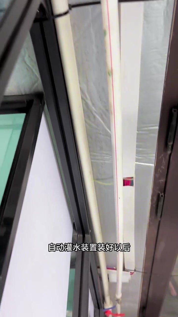 馬來西亞七彩漁場和七彩漁場哪個好玩