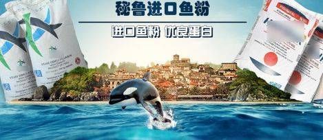 觀賞魚國際貿(mào)易合作案例：廣州南沙觀賞魚國際貿(mào)易法規(guī)解讀