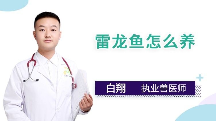 雷龍魚(yú)只能單養(yǎng)嗎