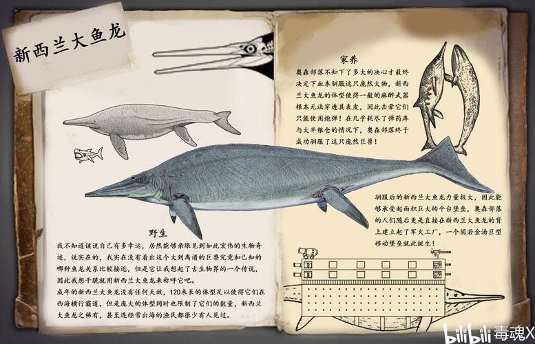 龍魚體型排名圖片