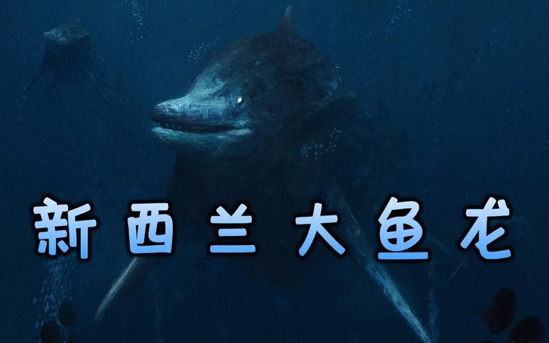 龍魚體型排名圖片