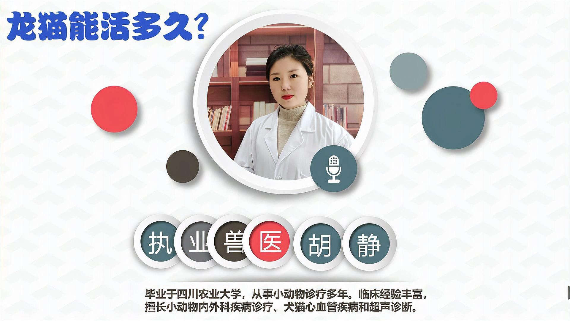 龍貓的壽命一般是多久？
