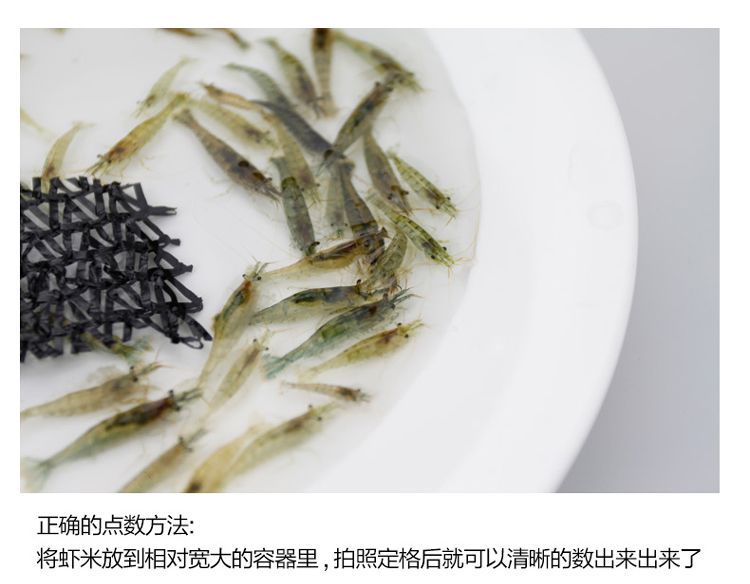 龍魚喂蝦米的注意事項：喂食龍魚蝦米需要注意什么：關于龍魚喂蝦米的一些注意事項 龍魚喂蝦米的注意事項：喂食龍魚蝦米需要注意什么：關于龍魚喂蝦米的一些注意事項 龍魚百科 第1張