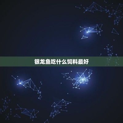 銀龍魚苗專用飼料品牌對比：銀龍魚苗專用飼料品牌對比七彩神仙魚飼料價格仟湖g2