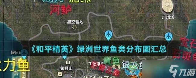 銀龍魚價格多少錢一只可以釣