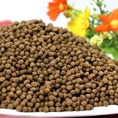 小紅龍魚飼養技巧：小紅龍魚喂什么最好養？全面解析飼養與喂食技巧