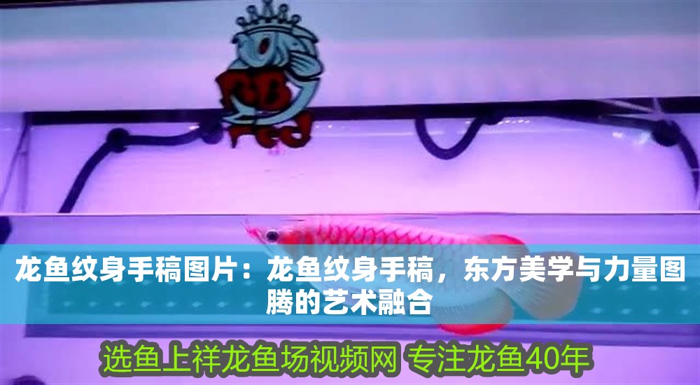 龍魚紋身手稿圖片：龍魚紋身手稿，東方美學與力量圖騰的藝術融合