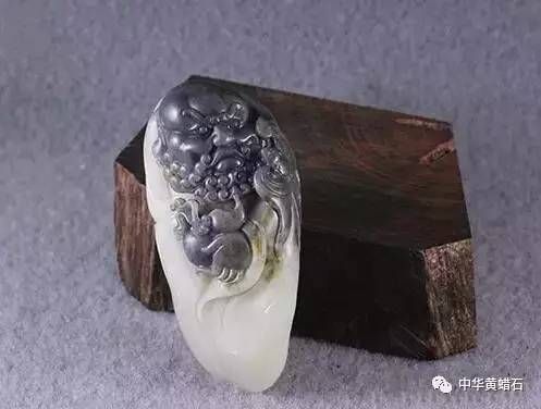 黃金達(dá)摩，黃金達(dá)摩飼養(yǎng)技巧