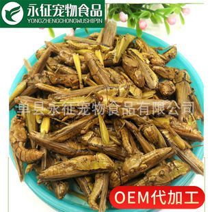 龍魚飼料魚干：如何自制龍魚營養均衡飼料，龍魚活餌處理與安全喂養 龍魚飼料魚干：如何自制龍魚營養均衡飼料，龍魚活餌處理與安全喂養 龍魚百科 第4張