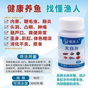 龍魚白點：如何治療龍魚白便